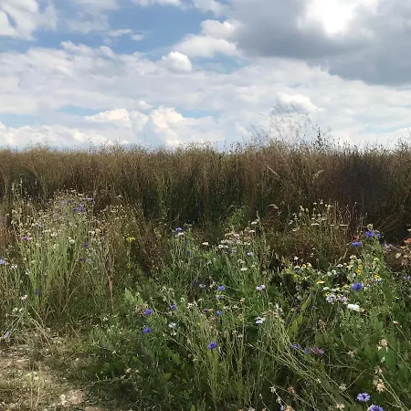 Appartement Pappelwiese Weimar (Thuringia)