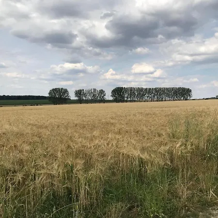 Pappelwiese Weimar (Thuringia)