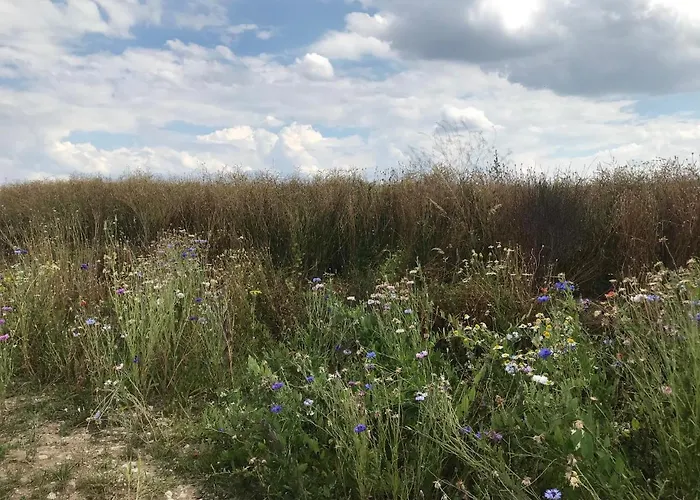 Apartment Pappelwiese Weimar (Thüringen)