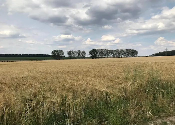 Pappelwiese Weimar (Thüringen)